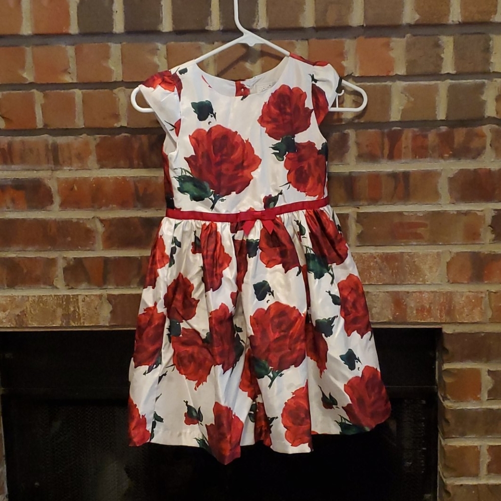Formal Rose Print Dress
